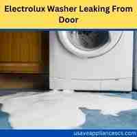 Electrolux washer leaking from door 2023 guide